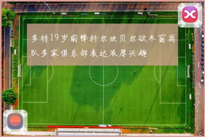 多特19岁前锋科尔坎贝尔欲冬窗离队多家俱乐部表达浓厚兴趣