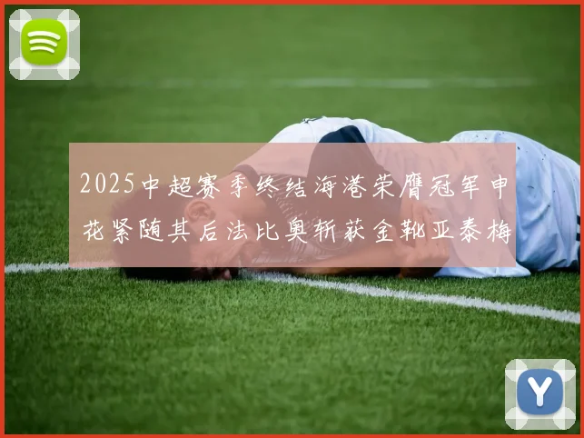 2025中超赛季终结海港荣膺冠军申花紧随其后法比奥斩获金靴亚泰梅州遗憾降级