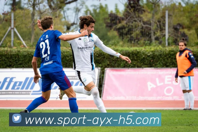 爱游戏平台生态图