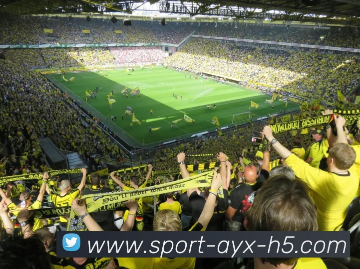 爱游戏APP 封面图